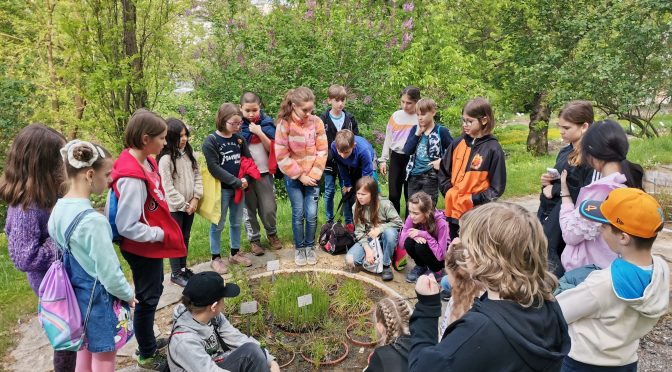 16. května 2023 – návštěva botanické zahrady